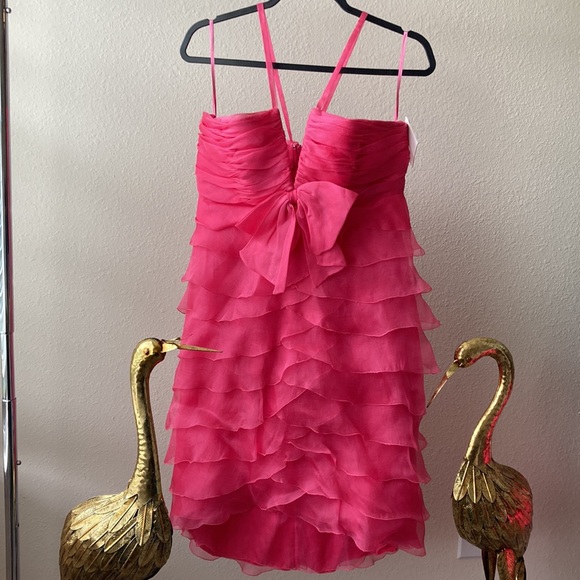 Pronovias Pink Ruffle Formal Dress - Picture 7 of 17